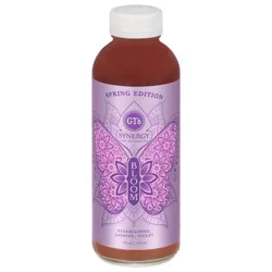 GT's Gt's Synergy Raw Kombucha Seasonal - 16.2 fl oz