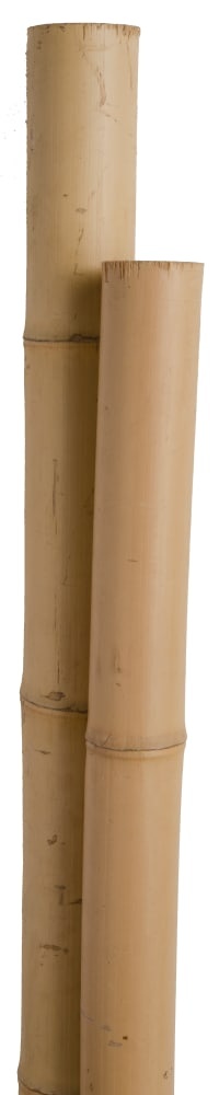 slide 1 of 1, Miracle-Gro Bamboo Super Pole - 4 Pack - Brown, 1 ct