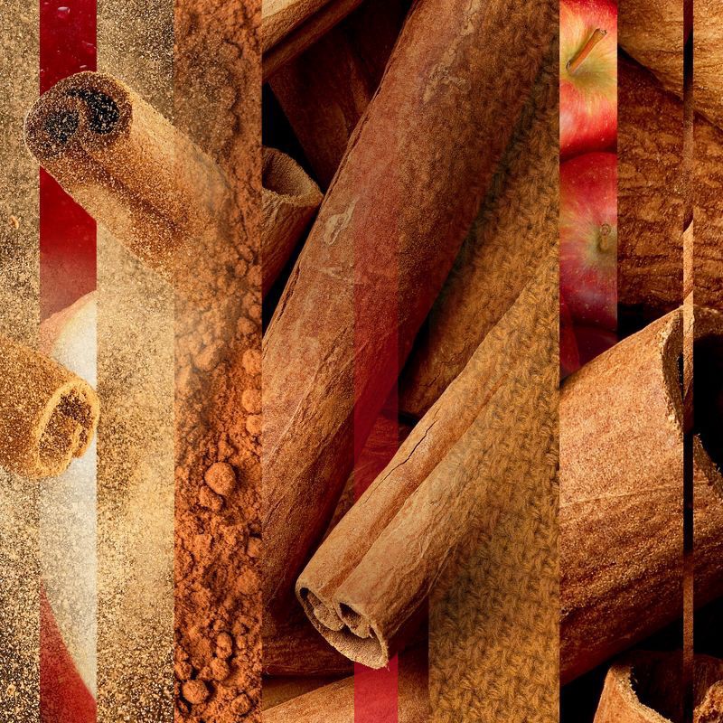 slide 7 of 14, Glade PlugIns Scented Oil, Air Freshener, 2 Refills, Autumn Spiced Apple, 0.67 oz Each, 1.34 oz Total, 1.34 oz