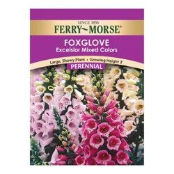 Ferry Morse Mixed Color Foxglove Seed Packet