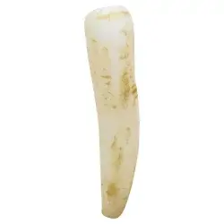 Long White Daikon Radish