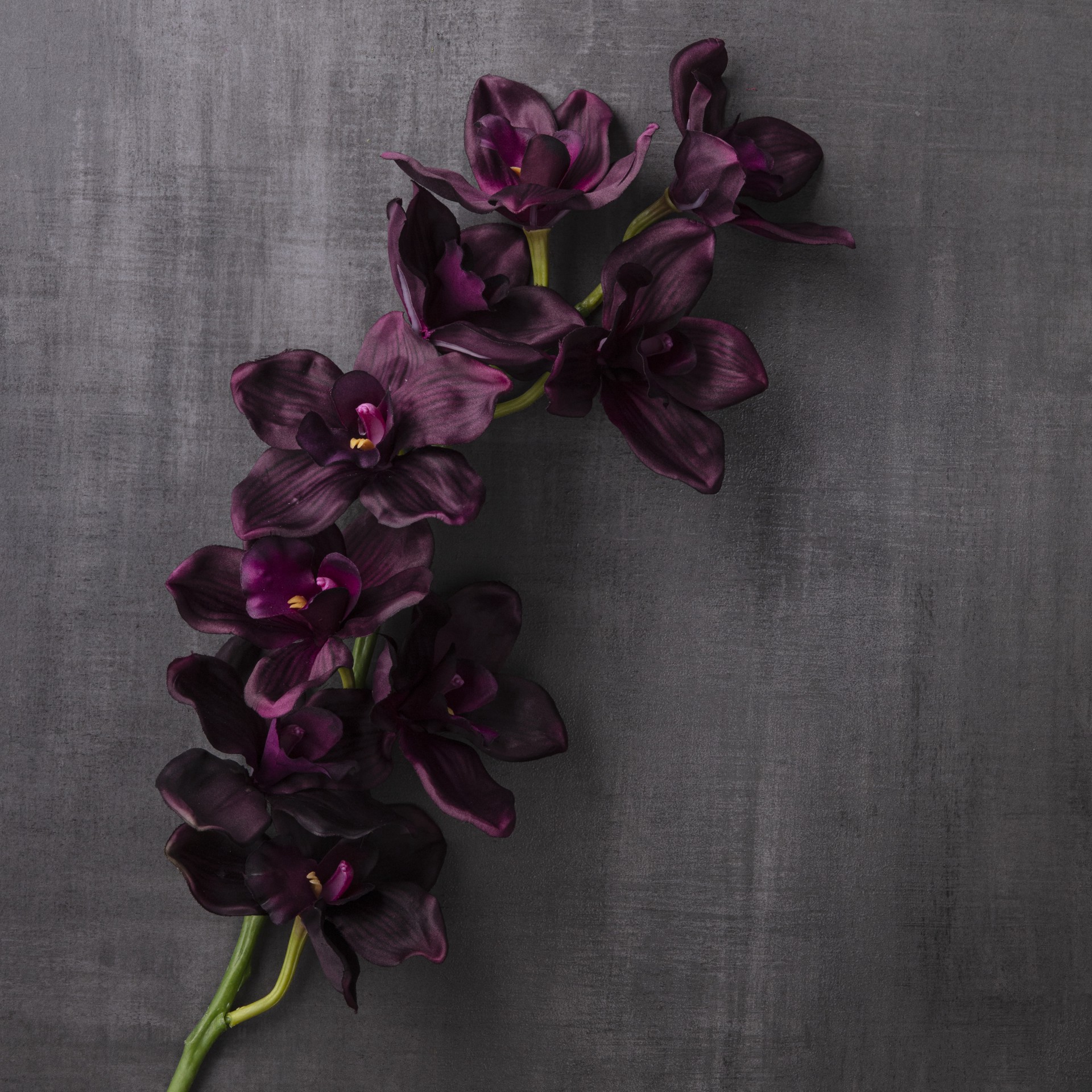 slide 3 of 3, Tropical Cymbidium Spray By Ashland, 33 in