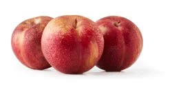 Pluots