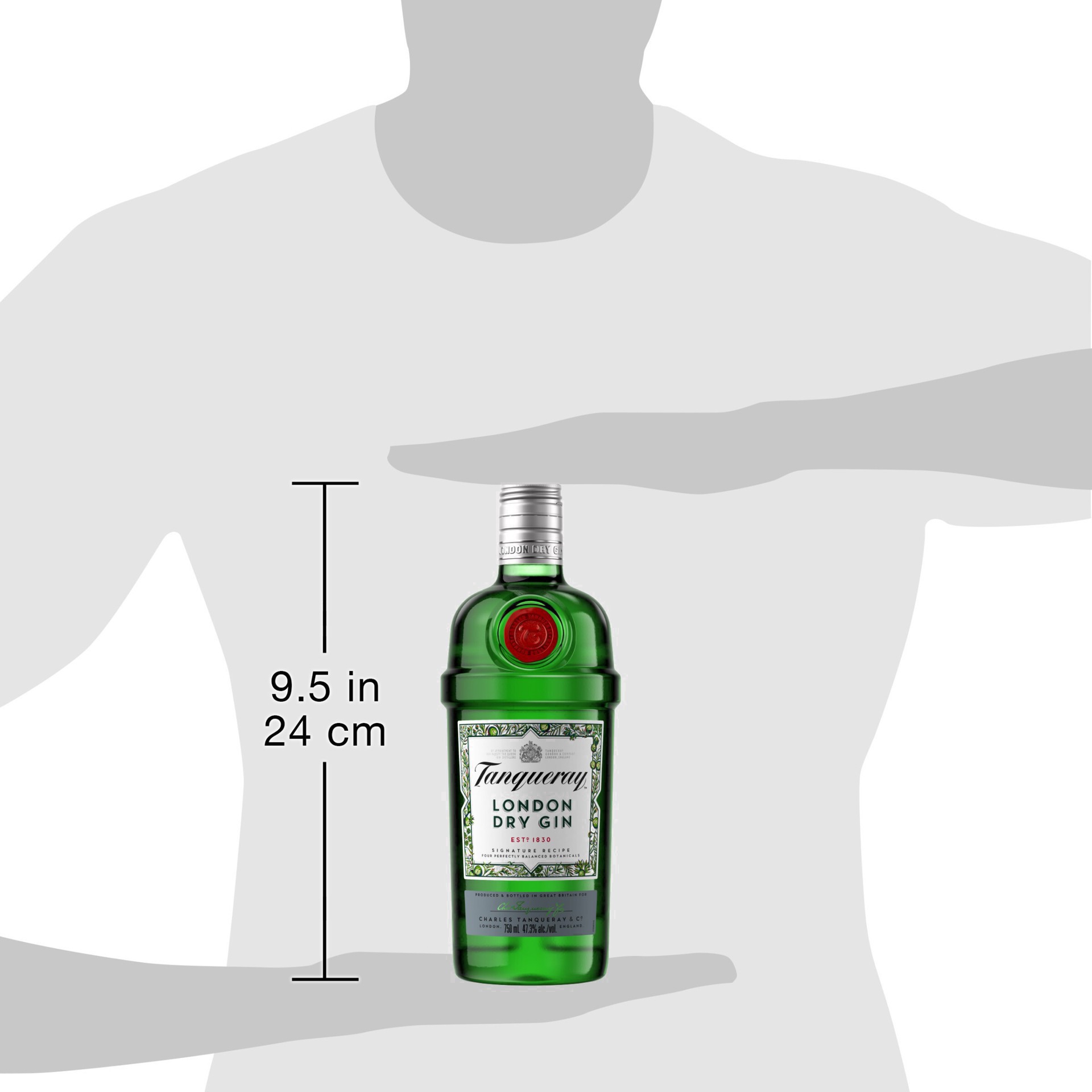 slide 19 of 32, Tanqueray London Dry Gin, 750 mL, 750 ml