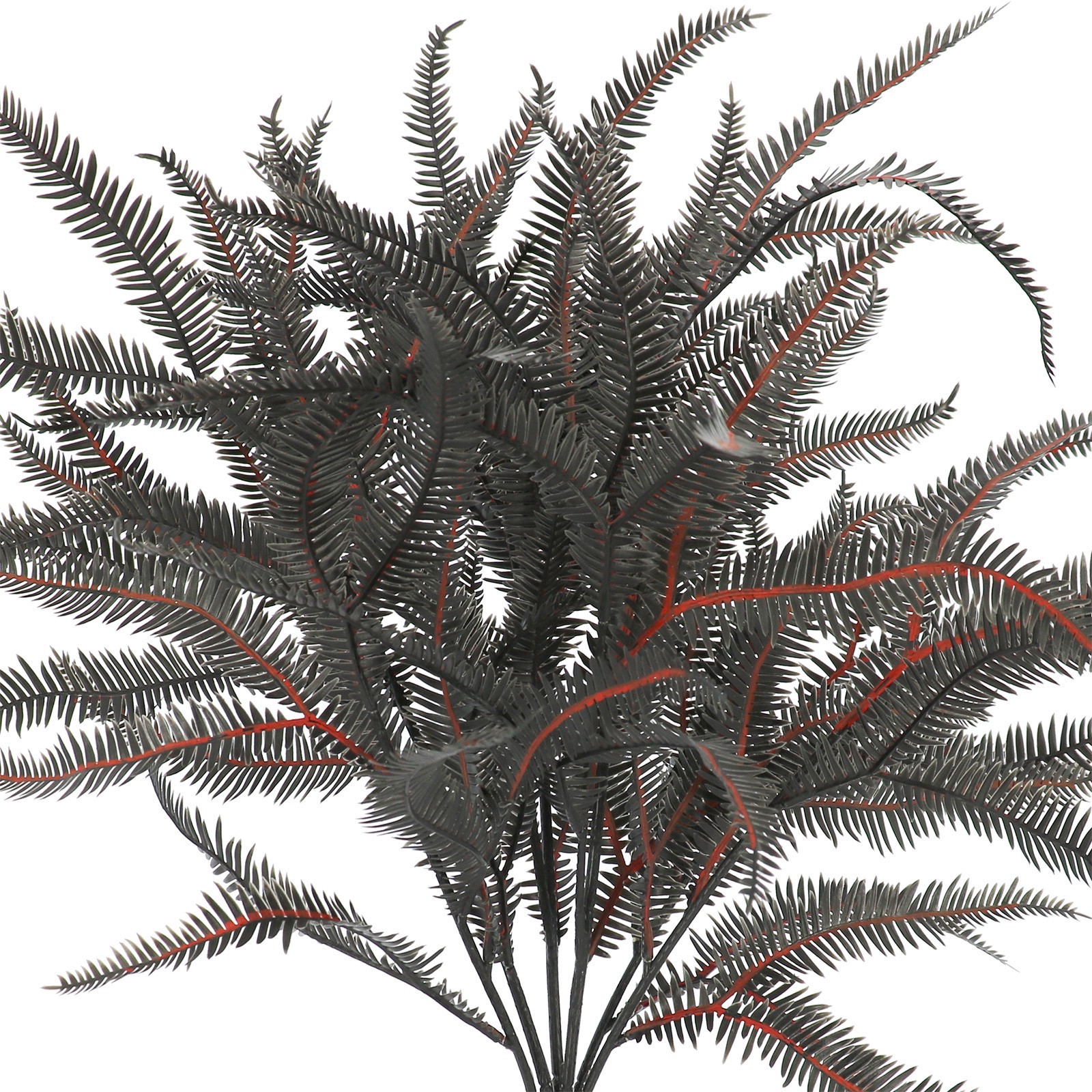 slide 2 of 2, 16" Black Dripping Boston Fern Bush By Ashland, 13 in x 13 in x 16 in