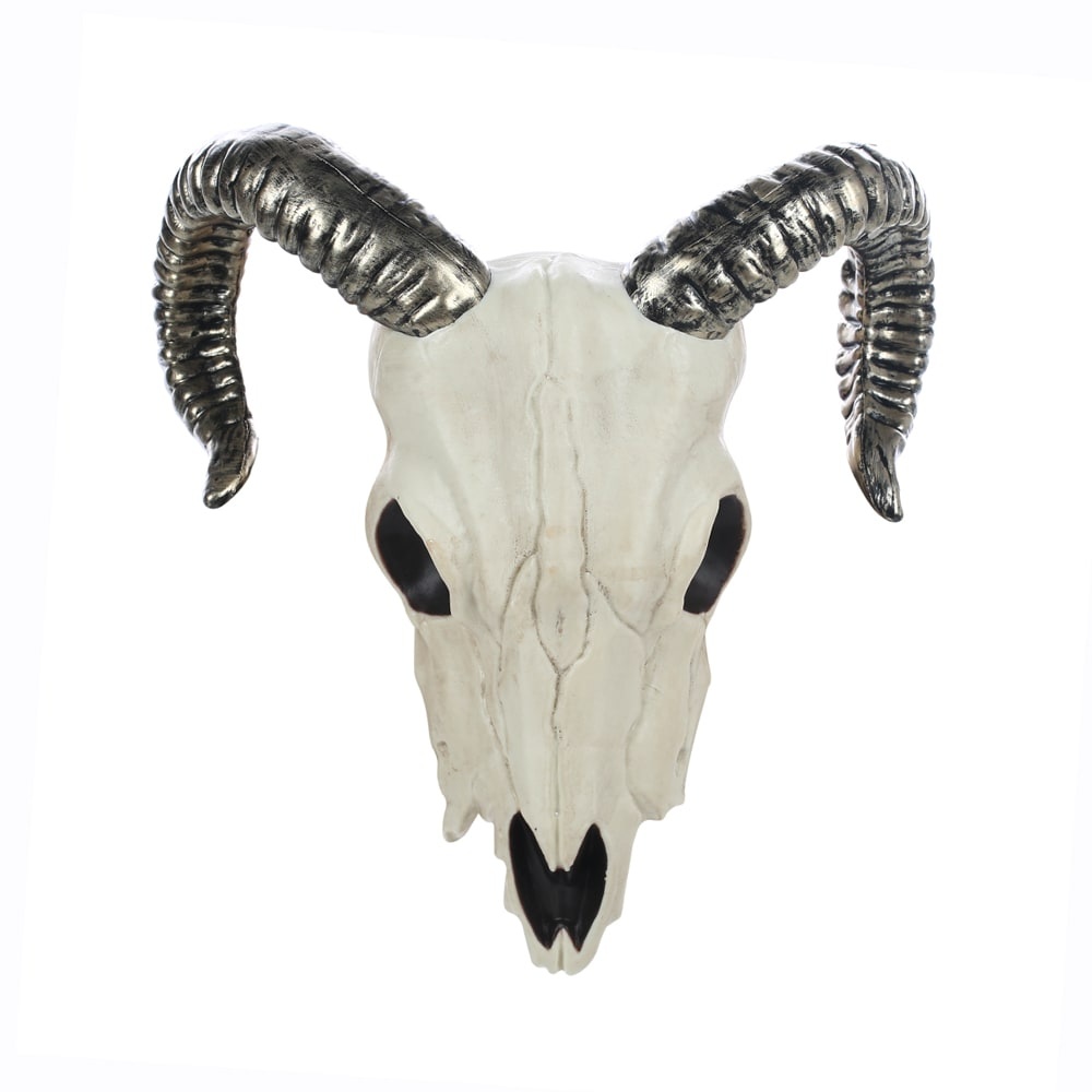 slide 1 of 1, Holiday Home Ram Skull With Horns - White/Brown, 5.25 in