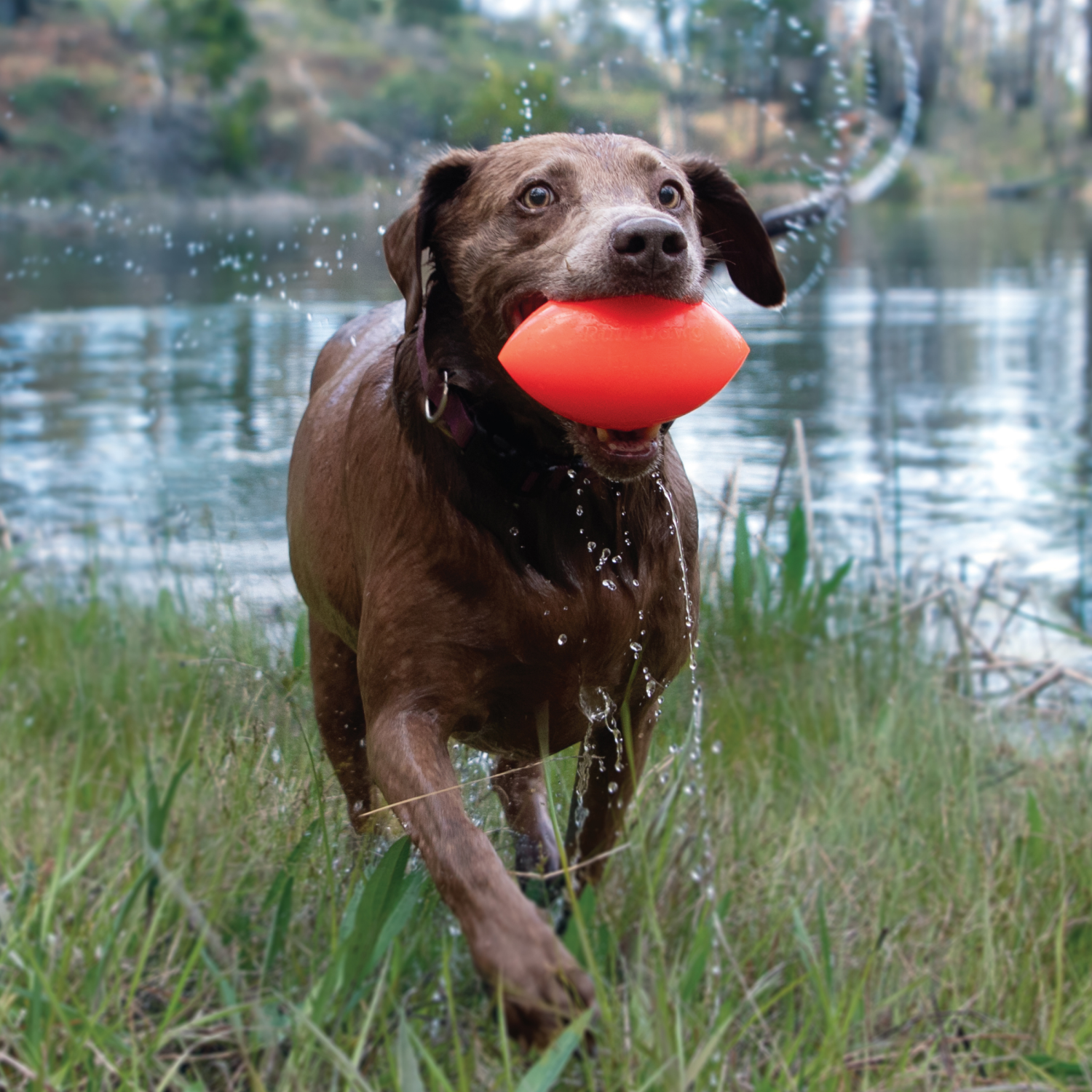 slide 3 of 3, Ruff Dawg Indestructible Football XL Tough Dog Chew, XL