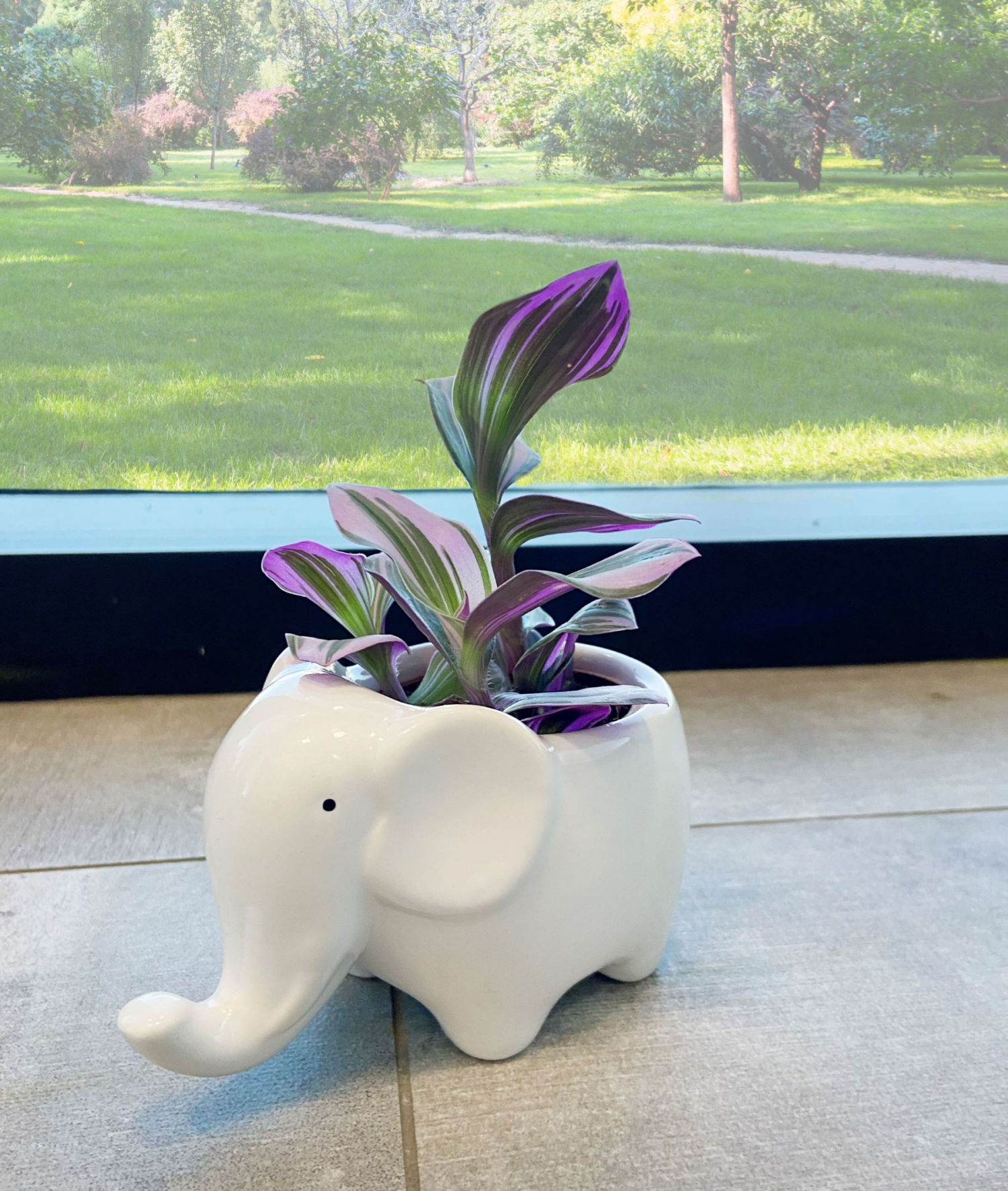 slide 2 of 2, Mini Nanouk Plant Upgrade, 1 ct