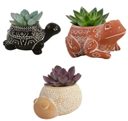 3.5" Succulent Forest Friend