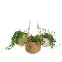 Blooming Fall 6.5" Bushel Garden