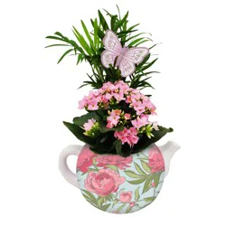 Max & Miles Mother’s Day Teapot