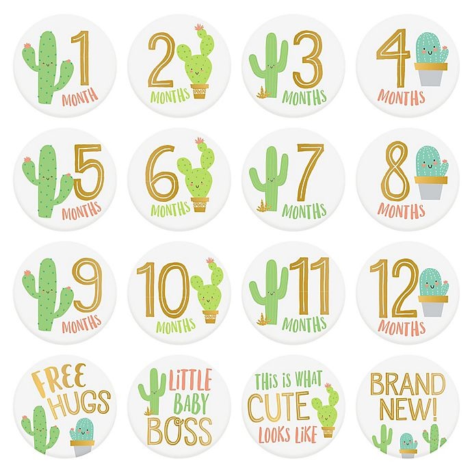 slide 5 of 5, Pearhead Cactus Baby Memory Book and Sticker Set - Green/Gold, 1 ct