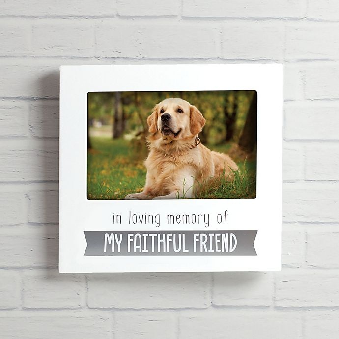 slide 3 of 4, Pearhead Pet Sentiment Faithful Friend Frame - White/Grey, 4 in x 6 in