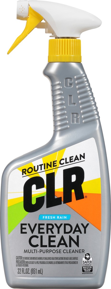 slide 6 of 9, CLR REveryday Clean Fresh Rain Multi-Purpose Cleaner 22 oz, 22 oz