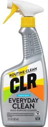 CLR Everyday Clean Fresh Rain Multi-Purpose Cleaner 22 oz