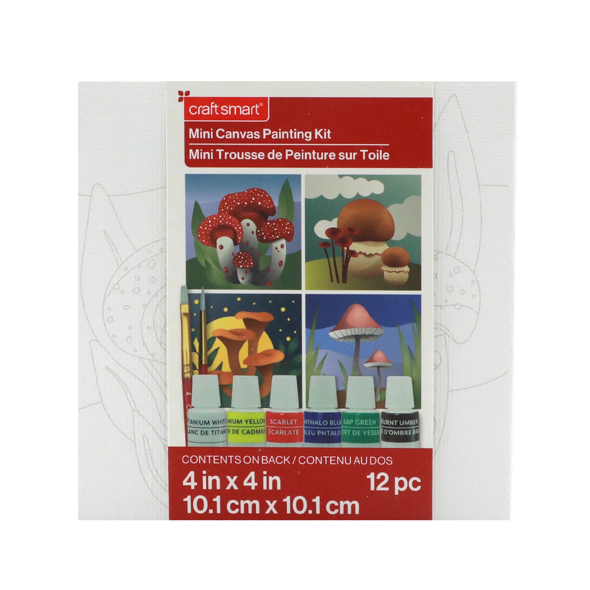 slide 8 of 8, Craft Smart 4" X 4" Mushrooms Canvas Painting Kit By Craft Smith, 4 in x 4 in