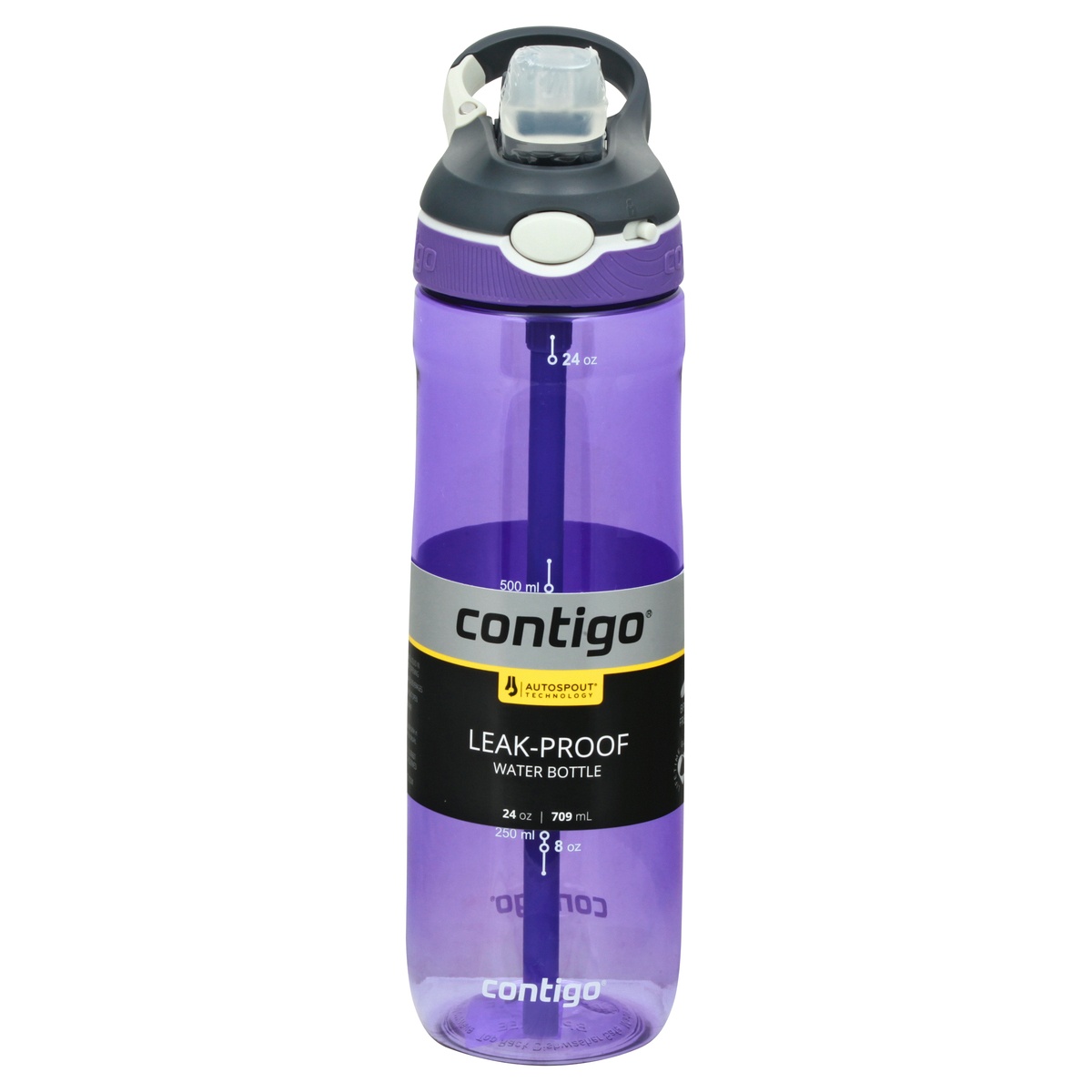 Contigo ASHLAND Water Bottle 24 oz Autospout Leak Proof Lid Purple