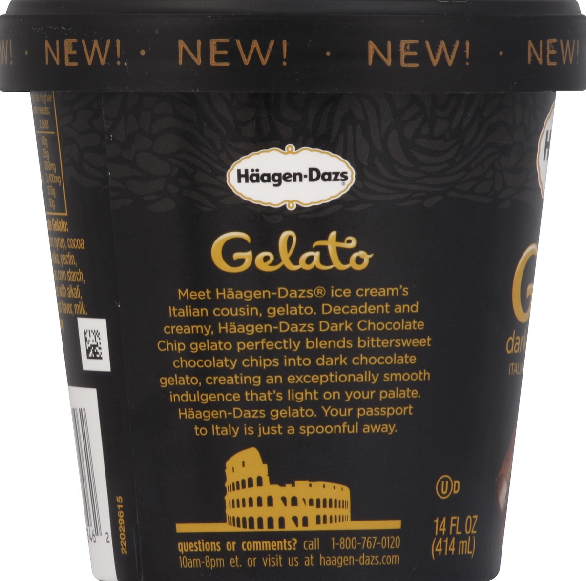 slide 3 of 6, Häagen-Dazs Dark Chocolate Chip Gelato, 14 fl oz