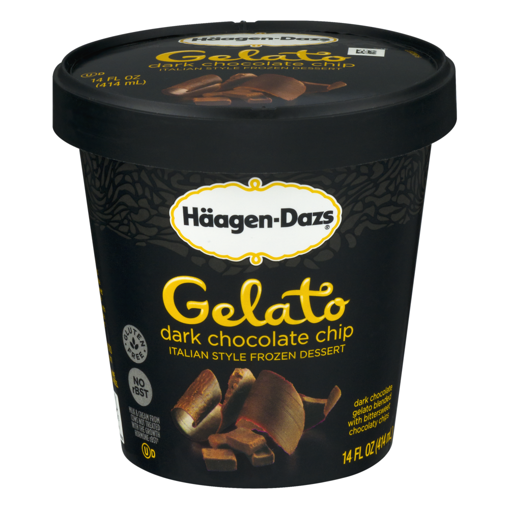 slide 1 of 1, Häagen-Dazs Dark Chocolate Chip Gelato, 14 fl oz