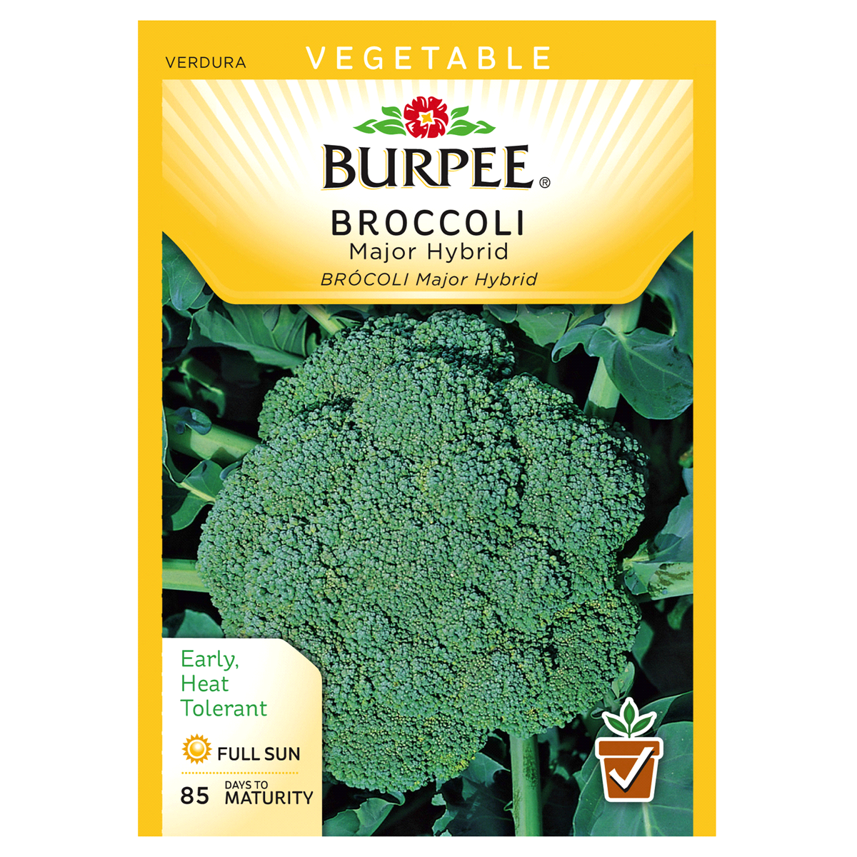 slide 1 of 1, Burpee Broccoli Major Hybrid Seeds, 1 ct