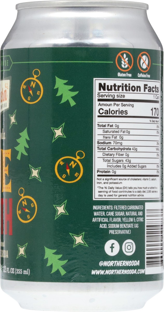 slide 7 of 13, Northern Soda Company Cane Sugar Due North Craft Soda 12 fl oz, 