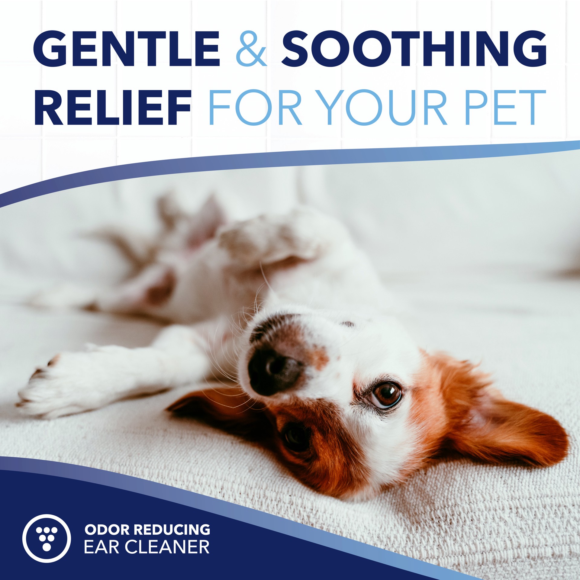 slide 4 of 10, TropiClean OxyMed Ear Cleaner for Pets, 4oz, 4 oz