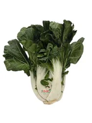 Bok Choy
