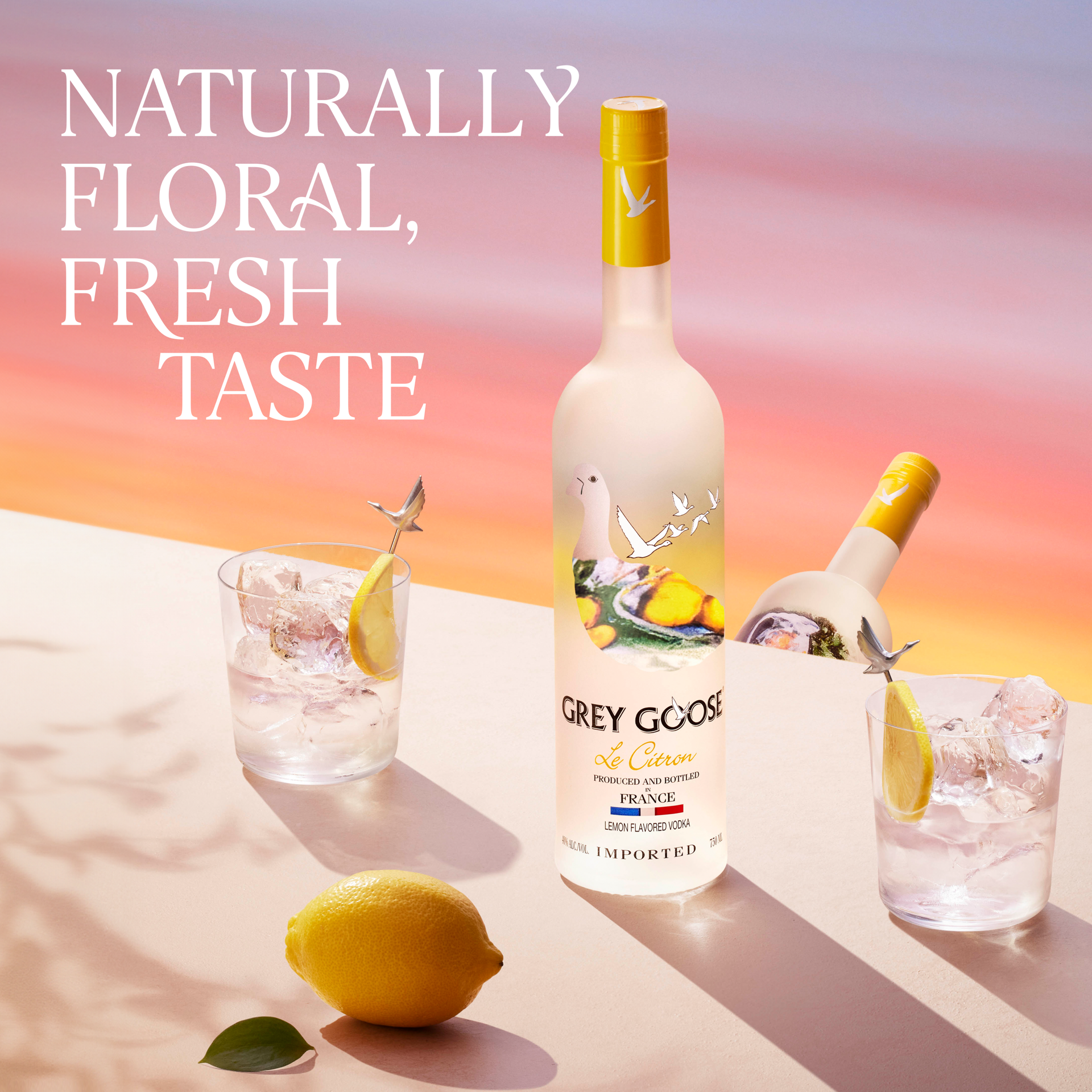 slide 5 of 5, Grey Goose Vodka 750 ml, 750 ml