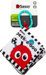 Sassy Peek-A-Boo Activity Book 1 ea