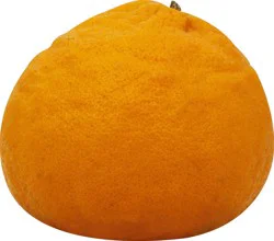 Produce Tangerine 1 ea