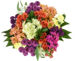 DIERBERGS FLOWERS & GIFTS PRIMAVERA BOUQUET