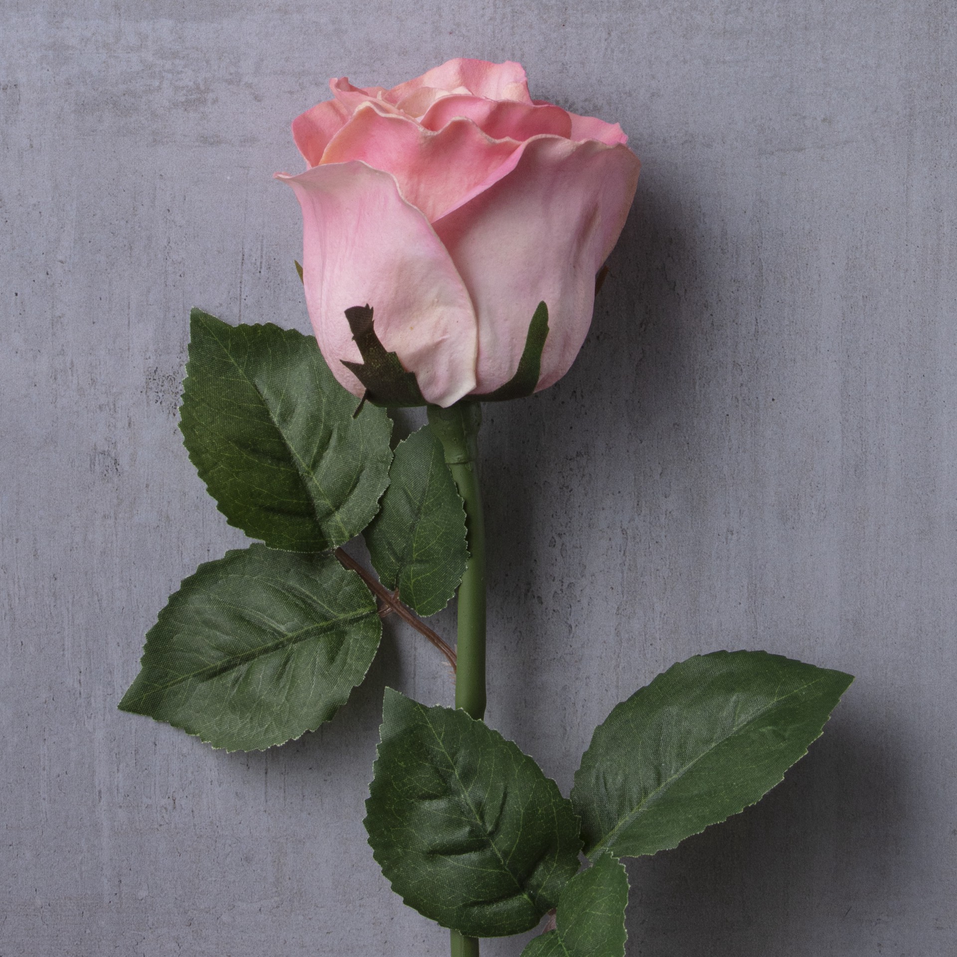 slide 2 of 2, Faux Rose By Ashland, 23 in