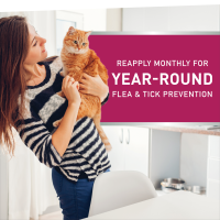 slide 2 of 19, Nextstar F&T SO Cat 3CT, 3 ct