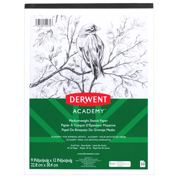 slide 1 of 1, Derwent Academy Mediumweight Sketch Paper Pad, 9'' x 12'', 1 ct