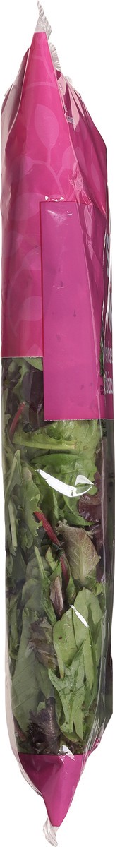 slide 5 of 13, Sun Harvest/First Street Spring Mix, 1 lb