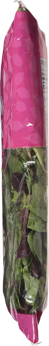 slide 11 of 13, Sun Harvest/First Street Spring Mix, 1 lb