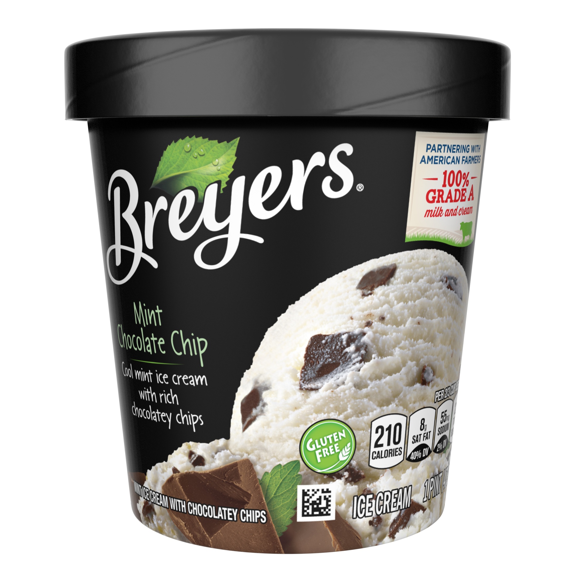 slide 1 of 3, Breyer's Mint Chocolate Chip Ice Cream, 16 oz