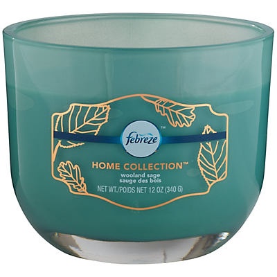 slide 1 of 1, Febreze Home Collection Woodland Sage Candle, 12 oz