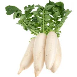 Bunched White Radish