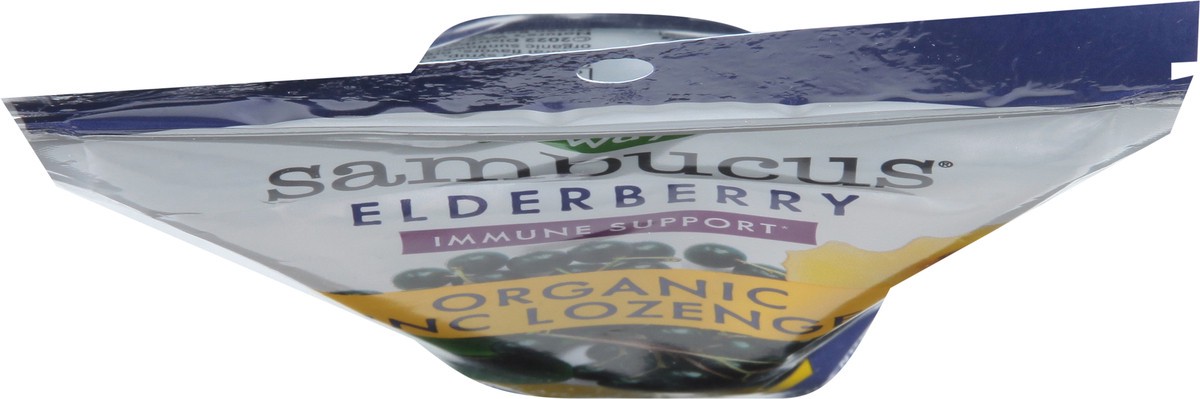 slide 4 of 9, Nature's Way Elderberry Honey Lemon Immune Lozenges 24 Lozenges, 24 fl oz