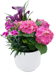 Ena Garden Decorative Pot