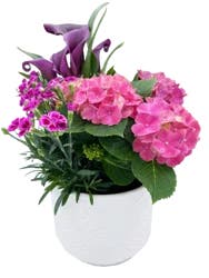Ena Garden Decorative Pot
