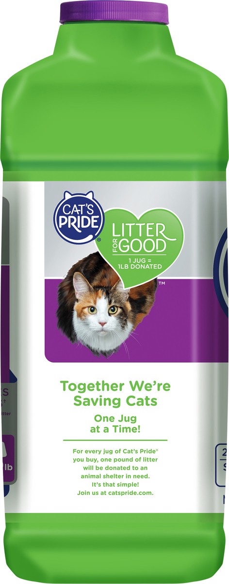 slide 4 of 7, Cat's Pride Fresh & Light Quick Action Scented Multi-Cat Scoop Litter, 15 lb