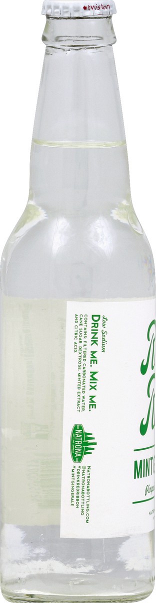 slide 4 of 5, Red Ribbon Soda, Mint Ginger Ale, Low Sodium - 12 oz, 12 oz