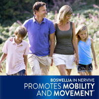 slide 25 of 27, Nervive Advanced Nerve Relief + Mobility, with Alpha Lipoic Acid to Help Reduce Nerve Aches, Weakness, & Discomfort*‡ and Boswellia to Promote Mobility*, Vitamins B12,B6,B1, 30 Tablets, 30 ct