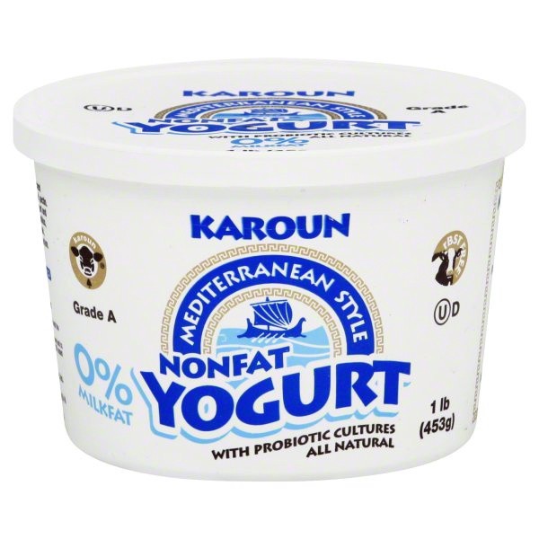 slide 1 of 1, Karoun Mediterranean Non Fat Yogurt, 16 oz