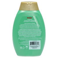 slide 3 of 5, Meijer Hydrating Teatree Mint Shampoo, 13 oz