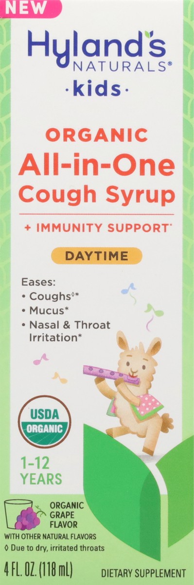 slide 5 of 12, Hyland's Naturals Organic 1-12 Years Kids Daytime All-in-One Organic Grape Flavor Cough Syrup 4 fl oz, 4 fl oz