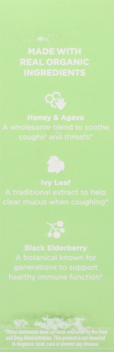 slide 3 of 12, Hyland's Naturals Organic 1-12 Years Kids Daytime All-in-One Organic Grape Flavor Cough Syrup 4 fl oz, 4 fl oz