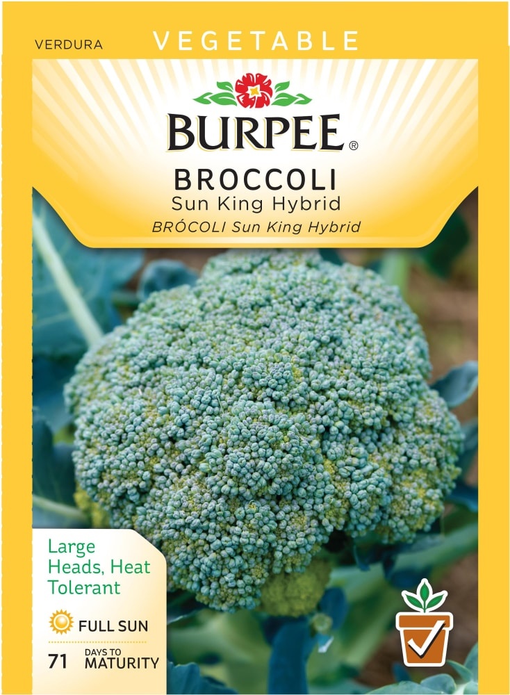 slide 1 of 1, Burpee Sun King Hybrid Broccoli Seeds, 700 mg